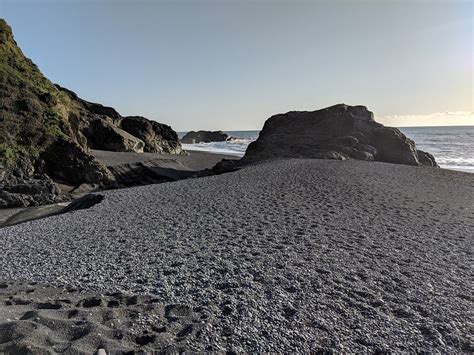  Iridessa! Bivalve Beauty Dwelling in Sheltering Sands Along Coastal Shores