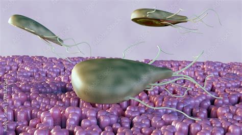  Giardia: Một Ký Sinh Trùng Microscopic Có Thể Làm Bị Tiêu Chảy